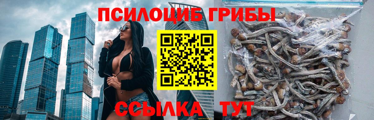 Псилоцибиновые грибы Psilocybe  где купить   Тимашёвск  Вход с VPN 
