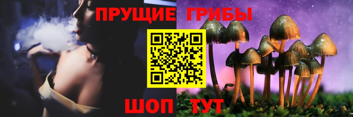 Псилоцибиновые грибы Cubensis Тимашёвск